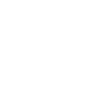 The University of Alabama at Birmingham
