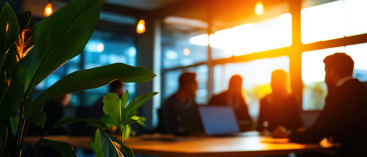 Coworkers sitting at a desk by the window with the sun coming through and a plant is to the left.